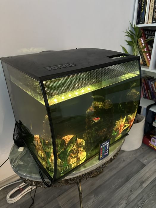 Аквариум Fluval с пълно оборудване