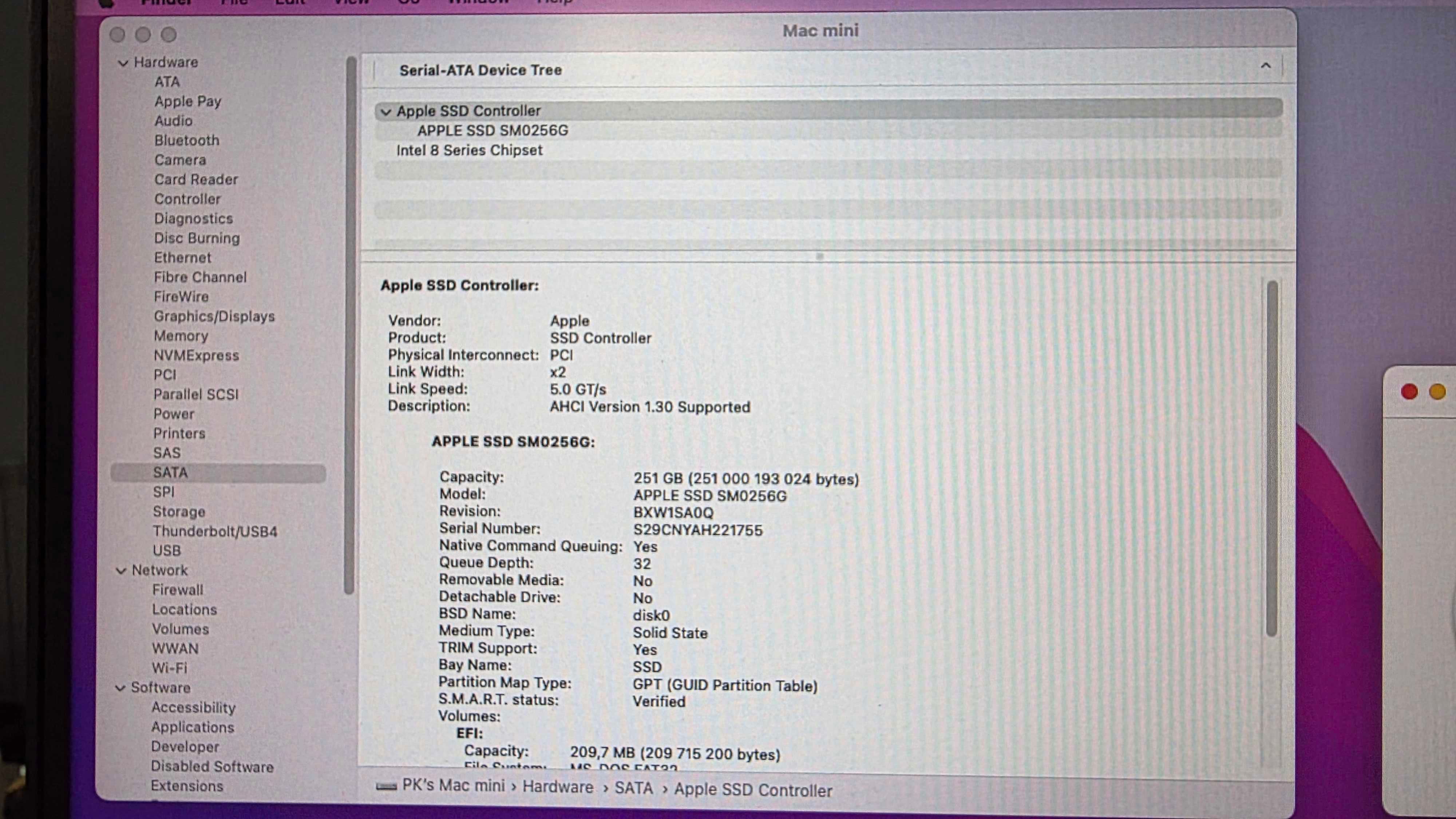 MacMini Late 2014 256GB