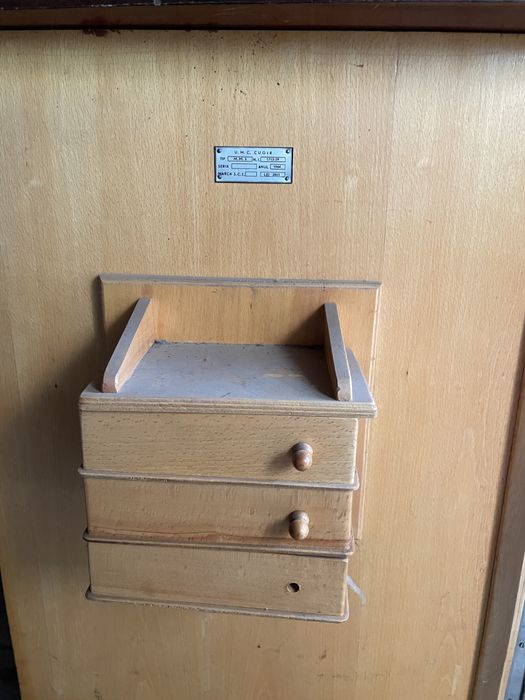 Masina de cusut Ileana