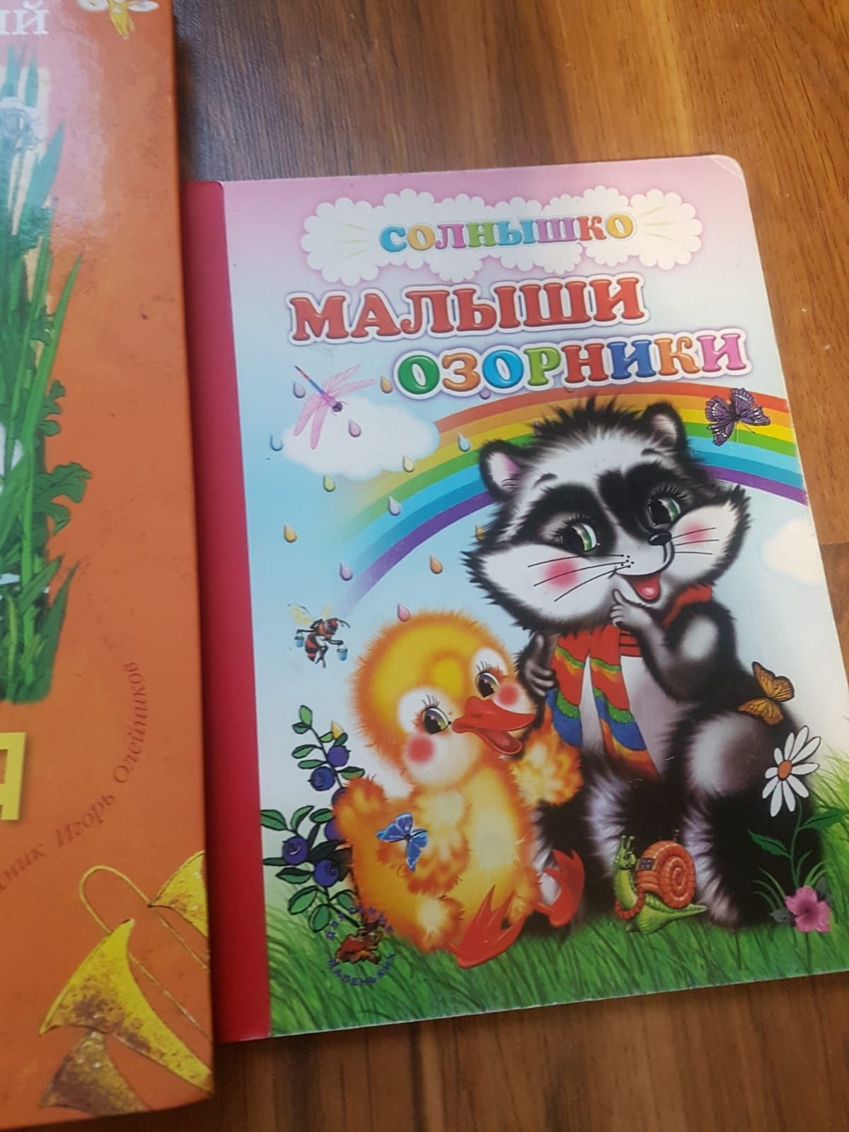 Книги стихи и сказки.