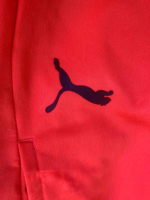 Puma • Пума • #Puma