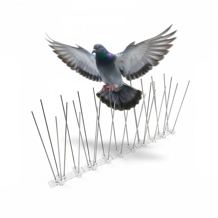 Шипове против птици – комплект 10бр х 30см. / Шипове против гълъби