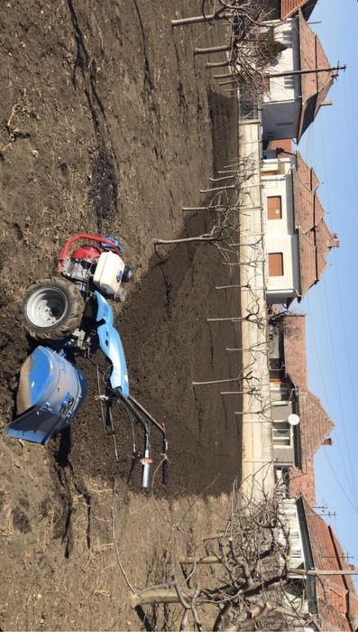 Prestari servicii