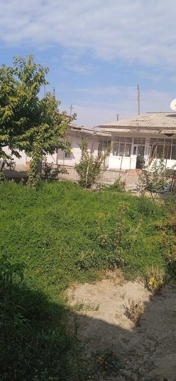 Loyish shaharchasida hovli joy sotiladi