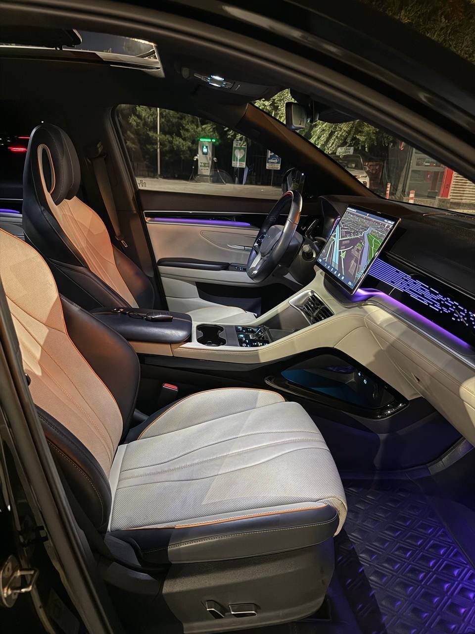 BYD chempion 2024