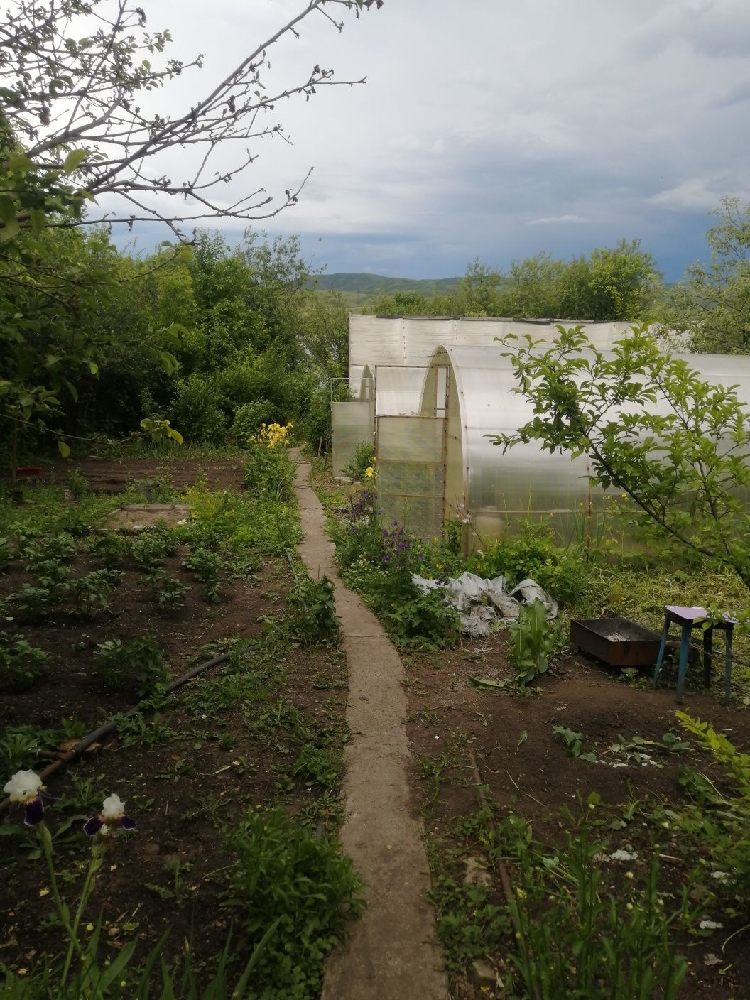 Продам дачу в ермаке на первой беровой линии.