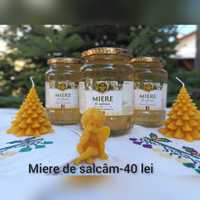 Miere salcam 2024