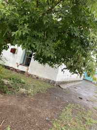 Поселек Кабанбай Батыра. Продам старый  дом с большим участком земли