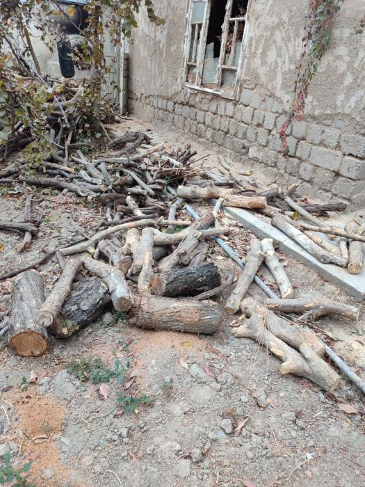 O'tin утин сотилади