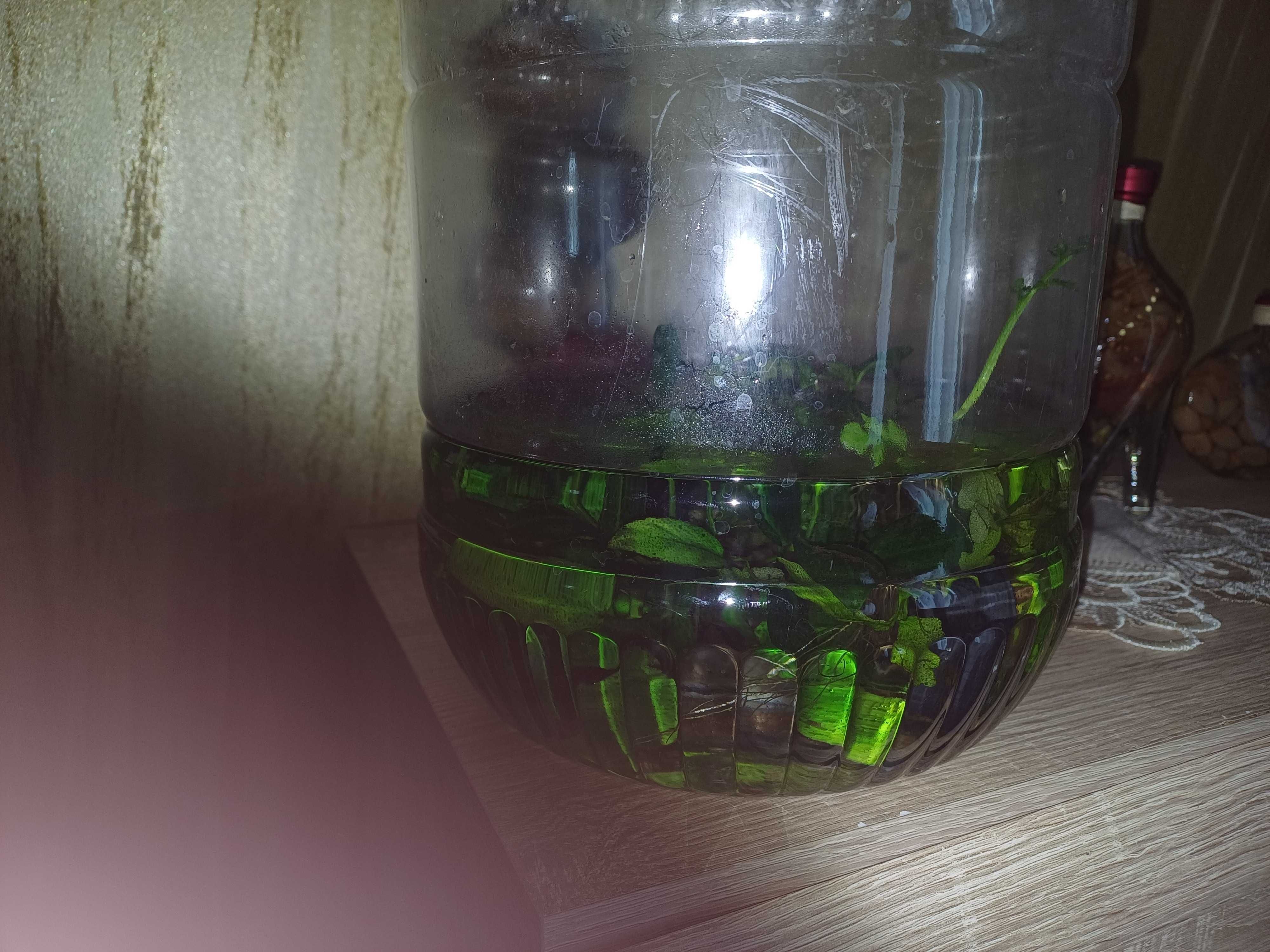 Acvariu de vanzare 50 l