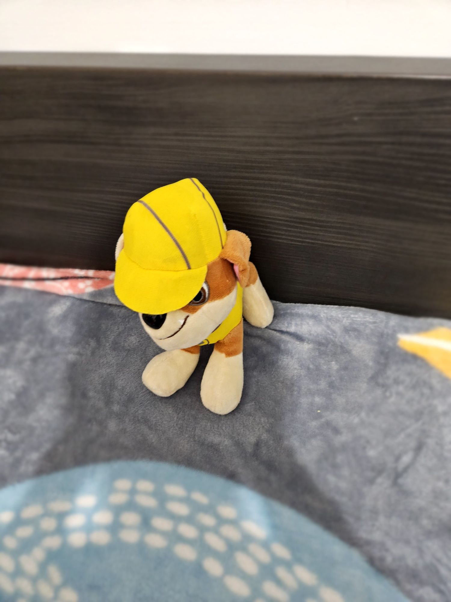 Patrula Catelusilor/Paw Patrol