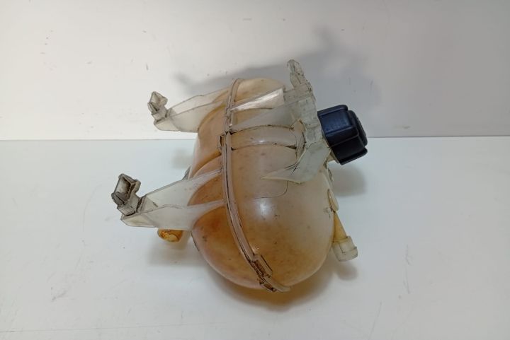 Vas expansiune 217101893R Fiat Talento  seria