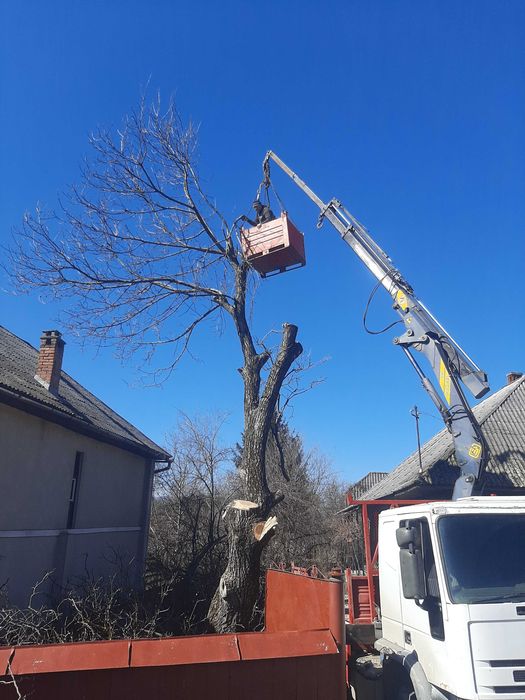 Camion macara disponibil