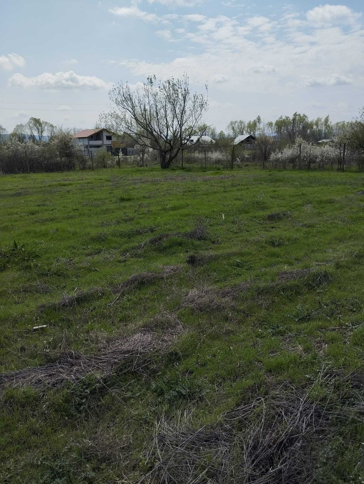 Teren de vanzare