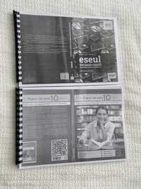 Culegeri Bacalaureat română (xerox) - Art și Booklet