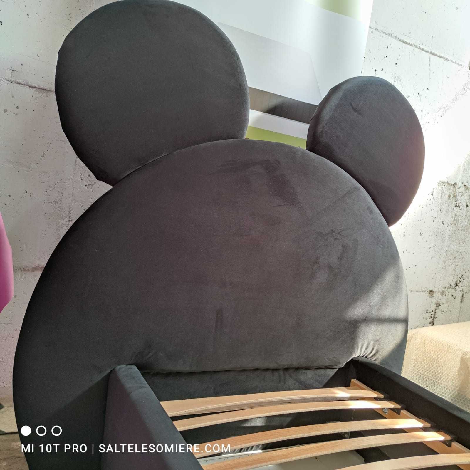 Pat tapitat copii Mickey