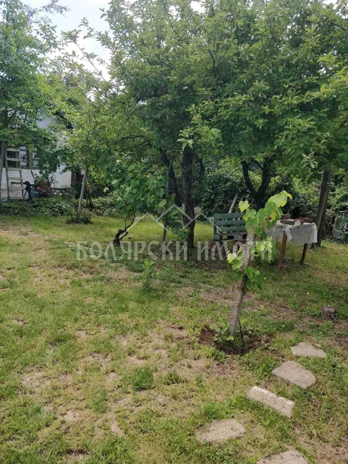 Панорамен парцел
