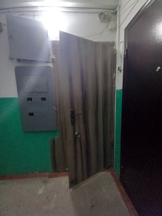 Дверь железная входная чёткая