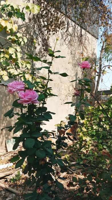 Продается участок 3.5 сотки почти в центре