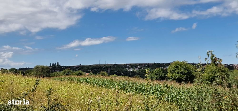 Teren de vanzare Daia intravilan si extravilan (2 parcele alipite)