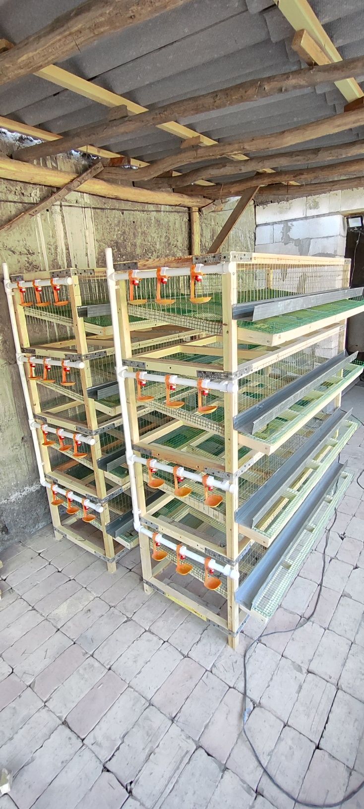 Bedana qafslar 5000 soʻmdan