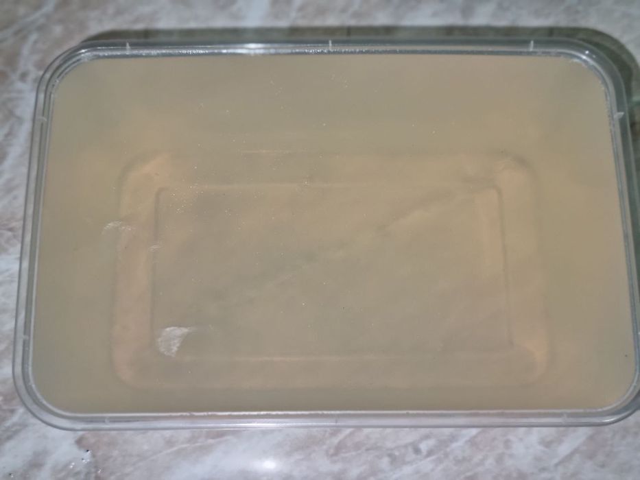 Sovun Asnova (kakos)