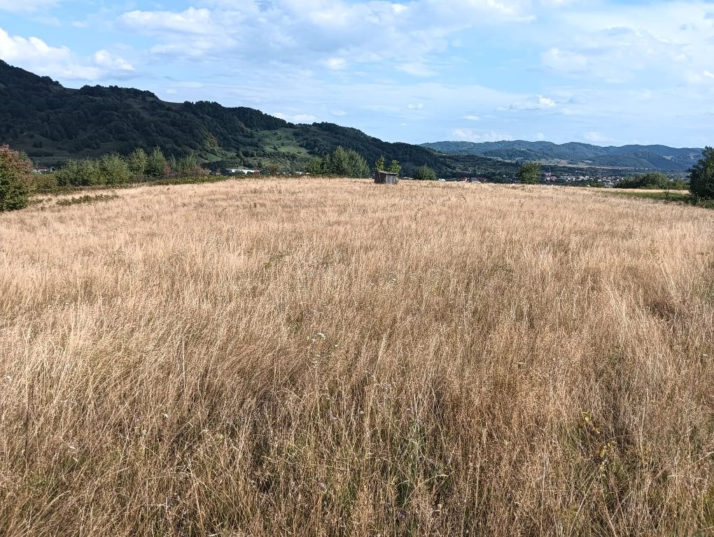 Teren Grosii Tiblesului 28 ari