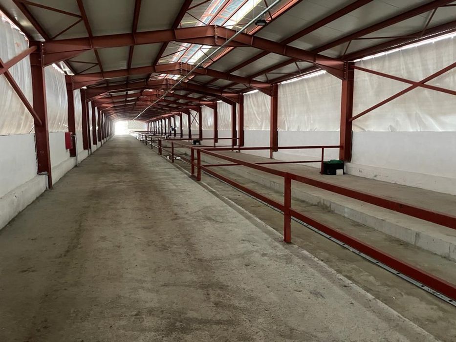 Inchiriez/vand Ferma zootehnica/Carantina export ingrasare tauri,Rate
