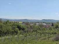 Teren intravilan 1400 m2  - la doar 10 minute (5 km) de Târgu Mureș