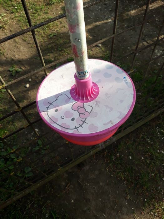 Minge săltăreață noriel