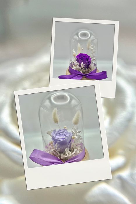 Trandafir criogenat in cupola