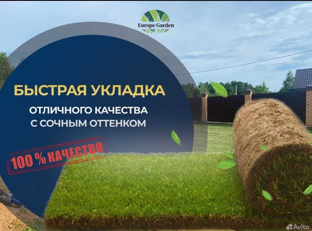 Газон с УКЛАДКОИ Рулонный газон Спортивный трава посев газон Автополив
