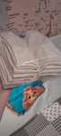 Bluze polo albe baiat