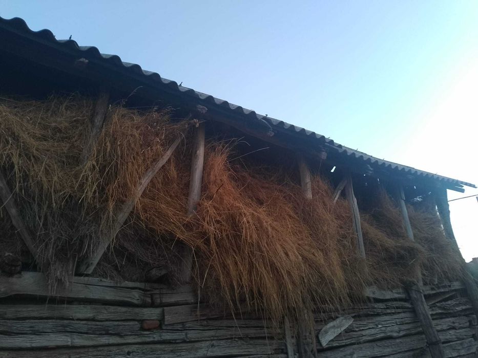 Vând fan pentru animale