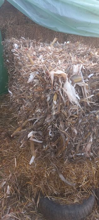 Vând baloti coceni și paie de grau