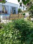 DAChA SamarkanD bolshoy priroda