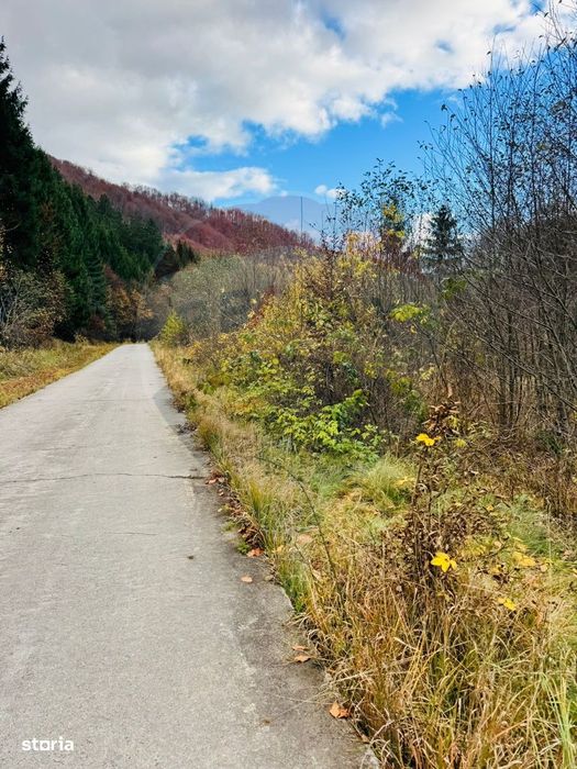 Teren 4,877mp Mara / Strada Principala