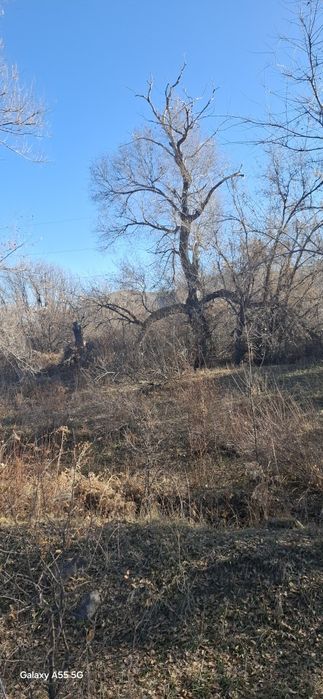 Продам участок 45 соток, лпх,вдоль трассы. От моста 500 метров в сторо