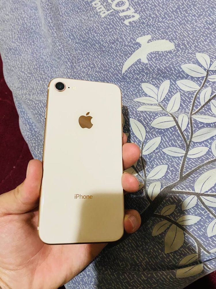 iphone 8 garantiya