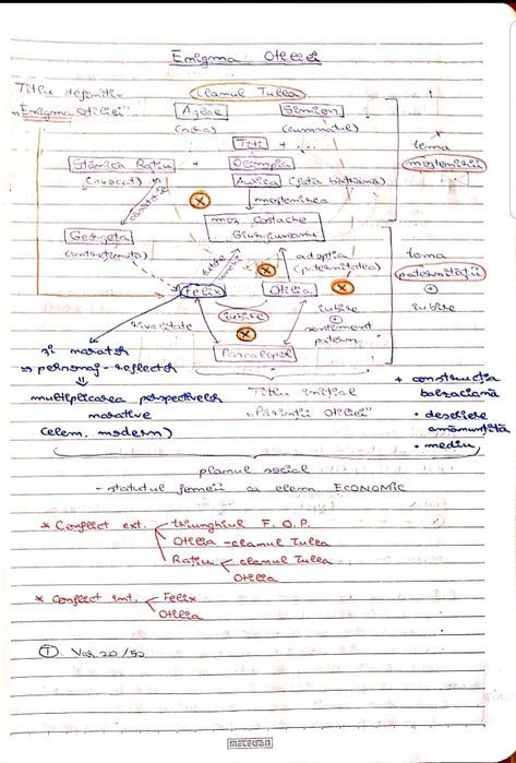 Caiet meditatii romana BAC 2025 bac de nota 10