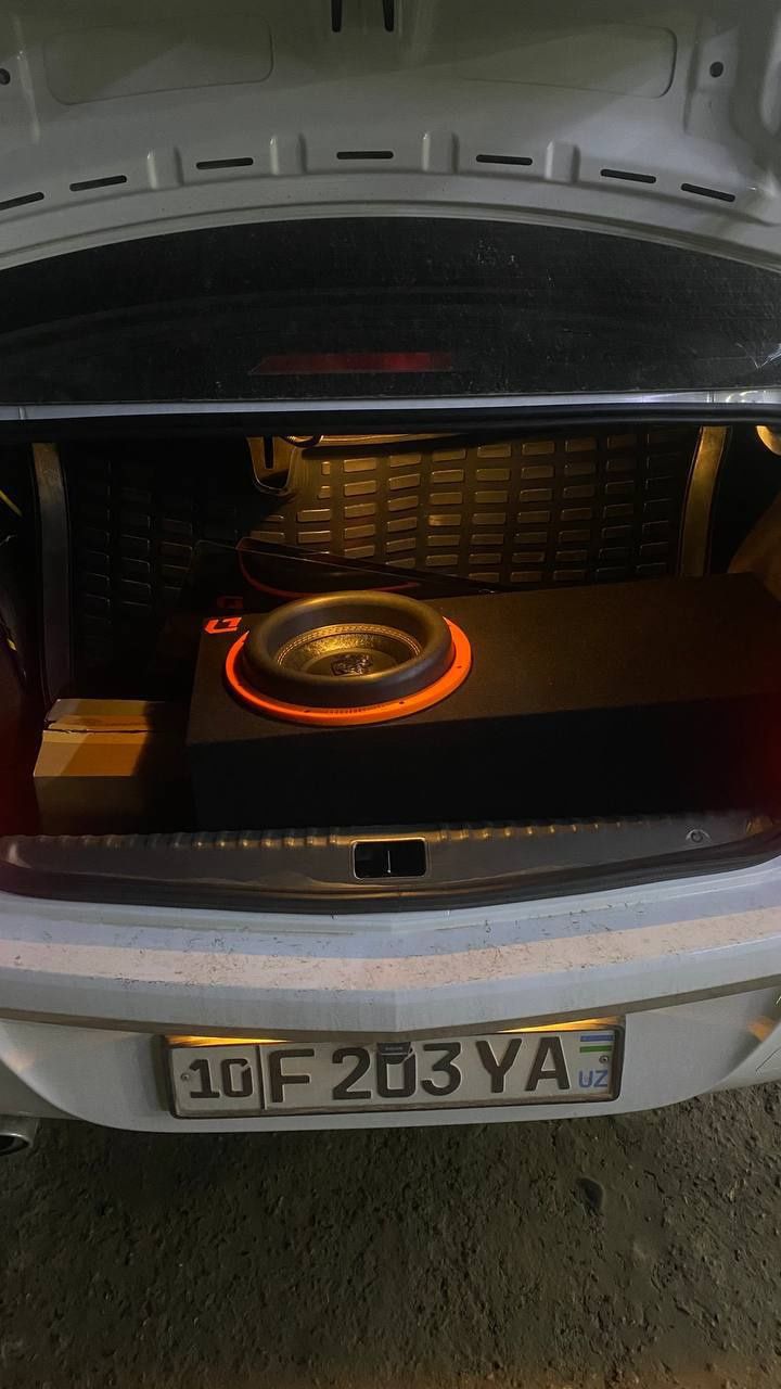 Sambufer Gryphone 12