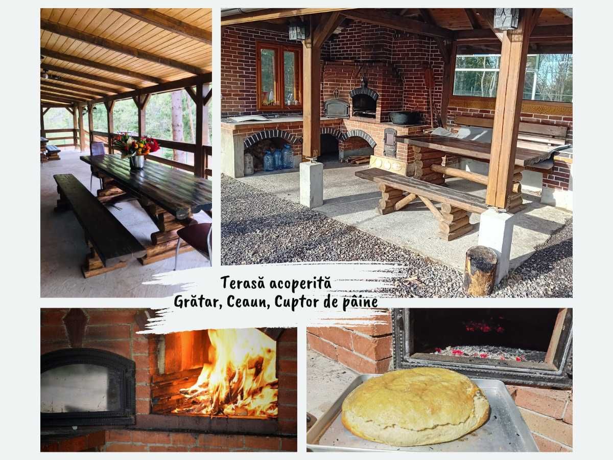 Promotie de vara: Cabana din Padure & Casuta din Copac – Belis (Cluj)