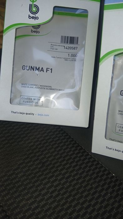 Varza GUNMA 1 F  Răsad de varza