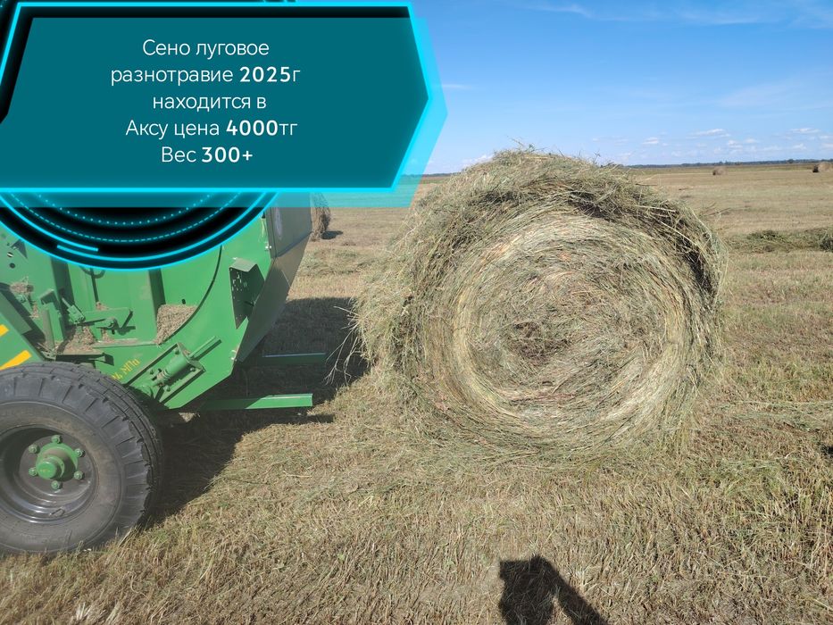 Сено луговое разнотравие 2025г