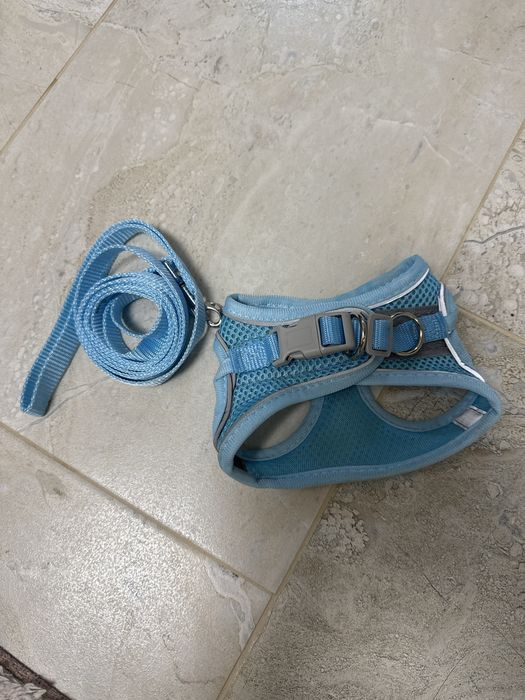 Кучешки дрешки и нагръдник