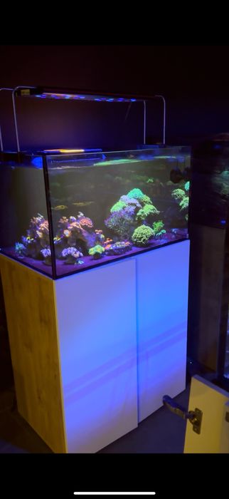 Морские аквариумы , Обслуживание морских аквариумов