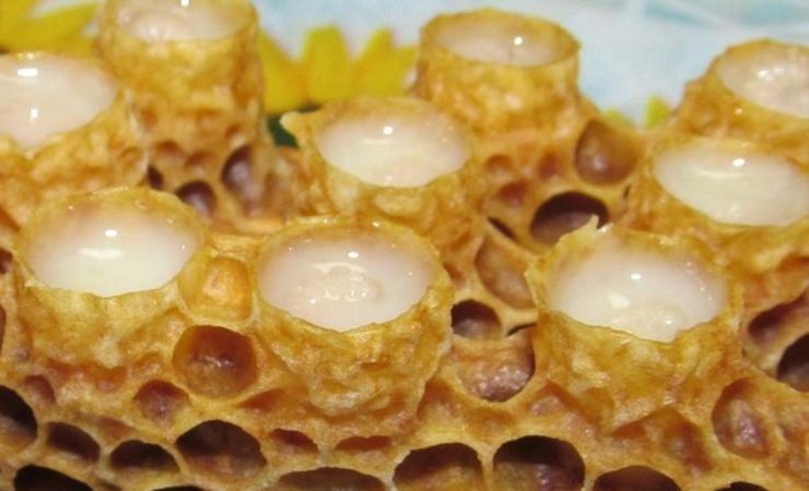 Маточное молочко