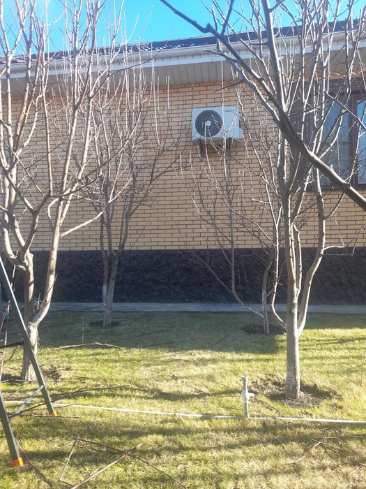 Обрезка плодовых деревьев