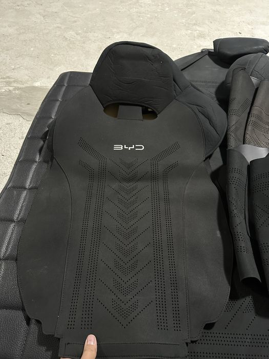 Byd cempyon nakitka chexol