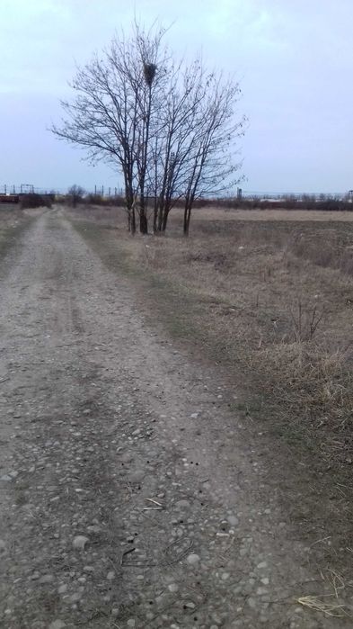 Vand teren intravilan , zona Mihai Bravu, 5,000 m.p.